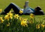 spring460 spring460